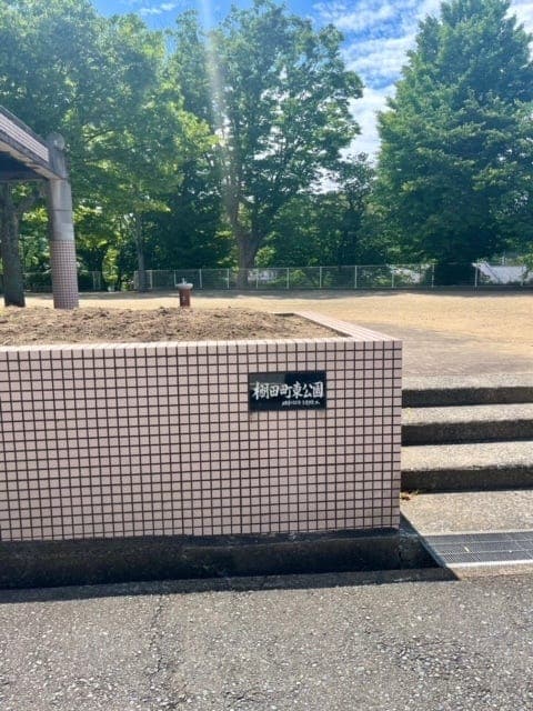 公園