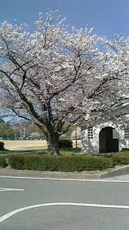 公園