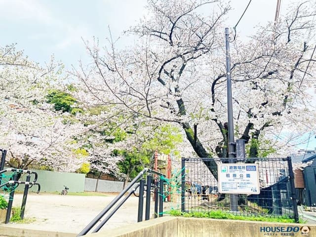 公園