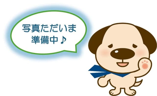 ドラッグストア