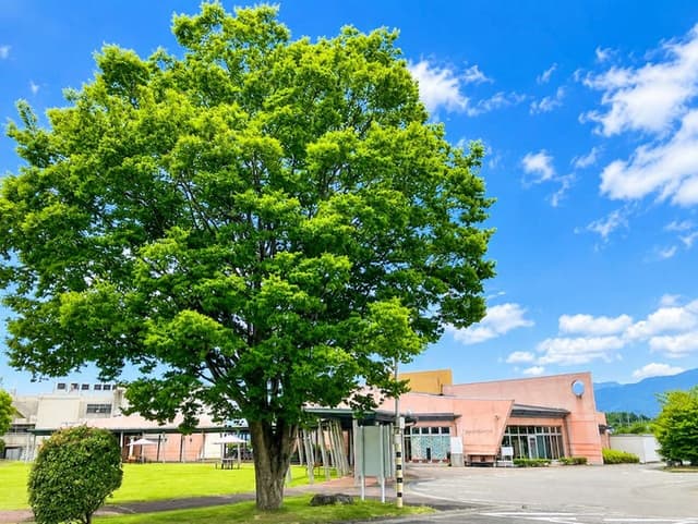 その他環境写真