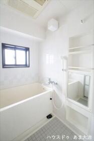 ●サエラ14ｔｈ