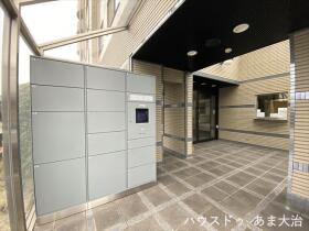 ●サエラ14ｔｈ