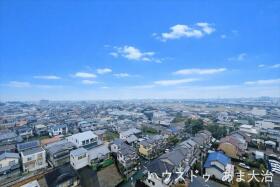 ●サエラ14ｔｈ