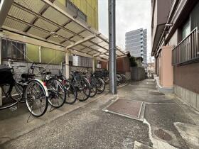 ※●サンシャイン千鳥