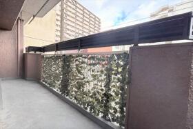 ※●サンシャイン千鳥