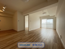 ダイアパレス河辺