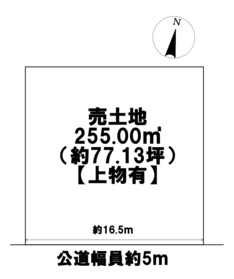 ◇愛西市大井町宮新田　建築条件なし土地