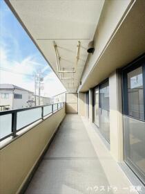 モアグレース馬引