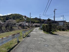 ●桑名市多度町猪飼字村中　建築条件なし土地