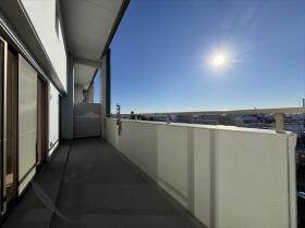 ※バンベール・ラフィネ道徳