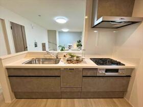 リナージュ四日市浜一色町　第1期　全1棟　新築一戸建て