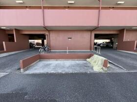 シャンボール道徳