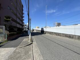 シャンボール道徳