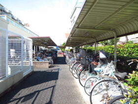 ザ・サザンクロス