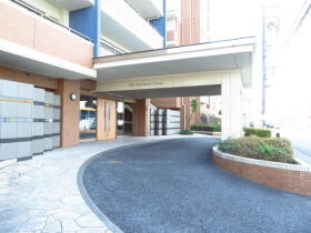 ザ・サザンクロス