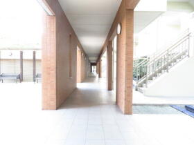 ザ・サザンクロス