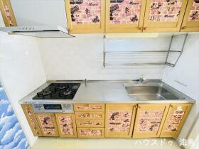 ●ニューコーポ金柳一番館