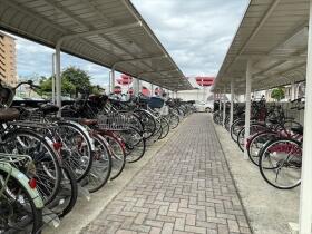 バンベール木場