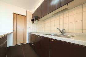 ※●スペクトル船頭場