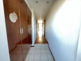 ザ・サザンクロス