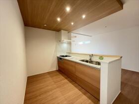 ファーストタウン名古屋市第1南区星崎　全1棟　新築一戸建て