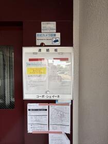 コーポ・シェイーネ