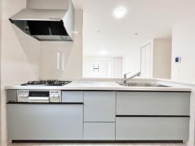 新築戸建　八王子市泉町第3期　全1棟　1号棟