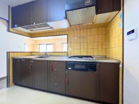 ダイアパレス九華公園