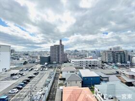 モアグレース枠杁